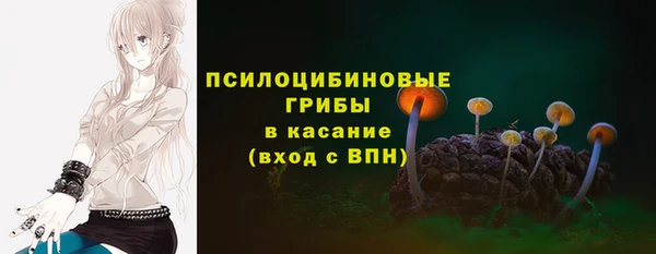 прущая мука Арсеньев
