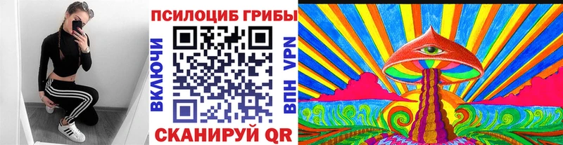 Псилоцибиновые грибы мицелий  магазин продажи наркотиков  кракен ONION  Октябрьск 